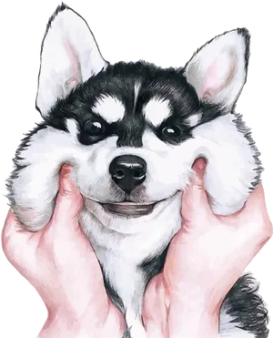Smiling Husky Puppyin Hands PNG image