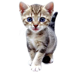 Smiling Kitten PNG Mmm