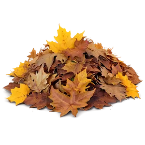 Smiling Leaf Pile Png Wrv93 PNG image