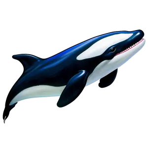 Smiling Orca PNG 81 PNG