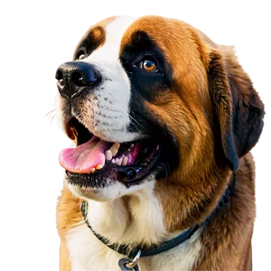 Smiling Saint Bernard Dog Png 06252024 PNG image