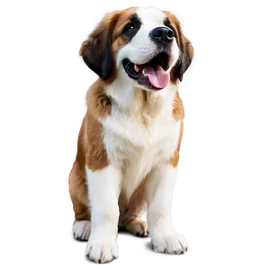 Smiling Saint Bernard Dog PNG Aat PNG