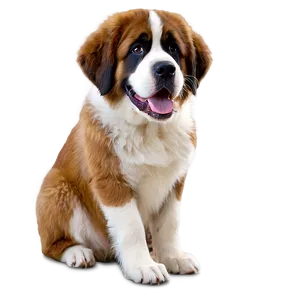 Smiling Saint Bernard Dog Png Ubq16 PNG image