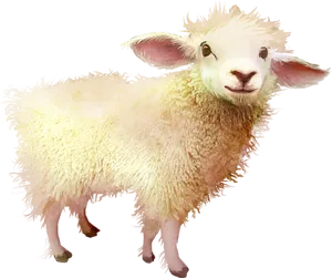Smiling Sheep Illustration PNG image