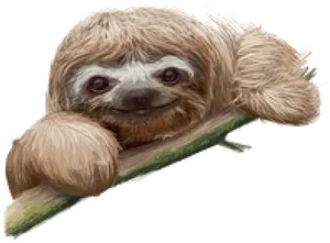 Smiling Sloth On Branch PNG