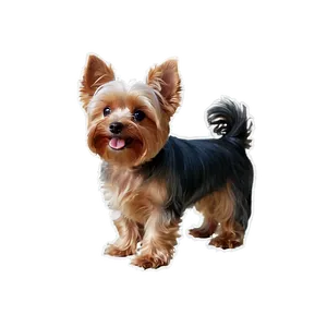 Smiling Yorkie Png Aak59 PNG image