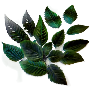 Smokey Leaves PNG 05042024
