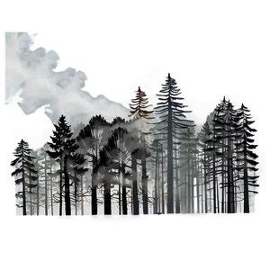 Smokey Misty Woods Png 06262024 PNG image