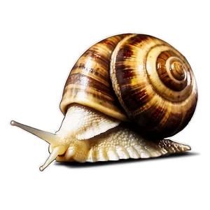 Snail Adventure Png 43 PNG image