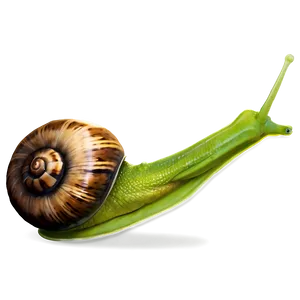 Snail Character PNG 77