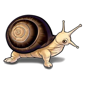 Snail Drawing PNG 71