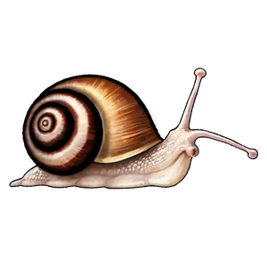 Snail Emoji PNG 05232024