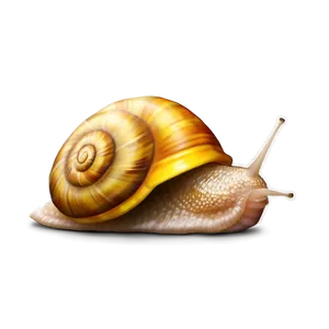 Snail Emoji PNG Pdj15 PNG