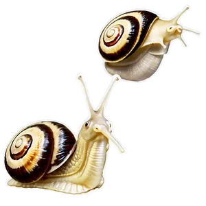 Snail With Snail Shell PNG Ftc