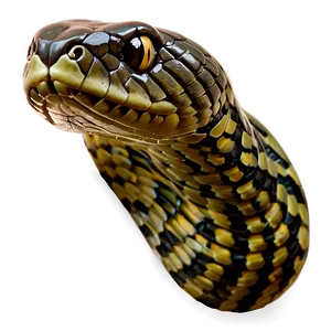 Snake B