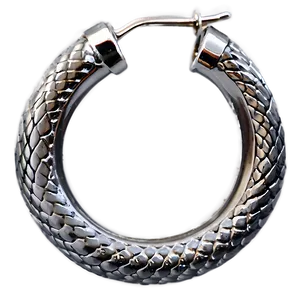 Snake Hoop Earring Png 06132024 PNG image