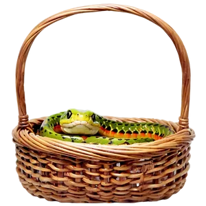 Snake In A Basket Png 05032024 PNG image