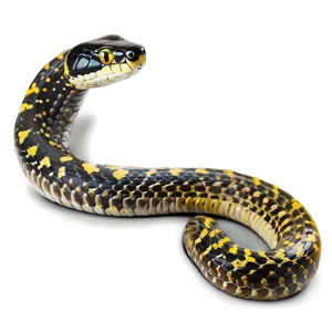 Snake In A Zoo Habitat Png 92 PNG image
