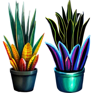 Snake Plant Bundle PNG Wjt13 PNG