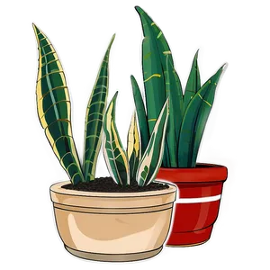 Snake Plant Garden PNG Top