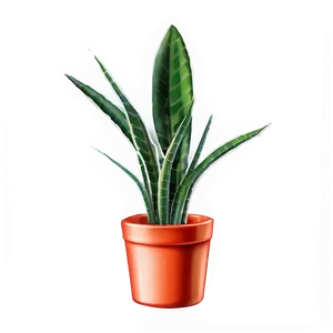 Snake Plant Illustration Png 06122024 PNG image