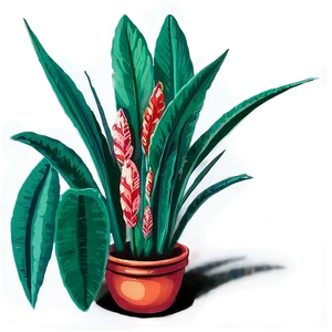 Snake Plant Illustration PNG 76
