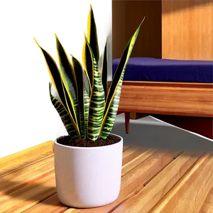 Snake Plant In Bedroom Png 17 PNG image