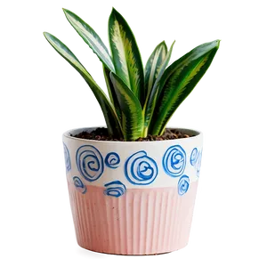 Snake Plant In Living Room PNG 06122024 PNG