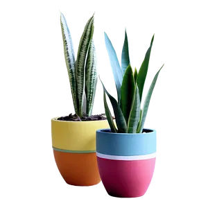 Snake Plant In Modern Pot Png Ekn PNG image