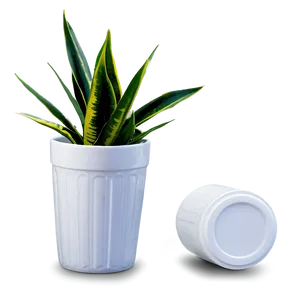 Snake Plant In White Pot PNG Ohr88 PNG