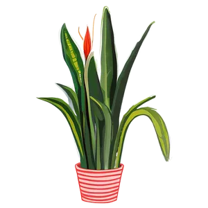 Snake Plant Line Art Png 32 PNG image