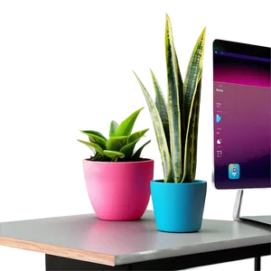 Snake Plant On Desk PNG Jfu