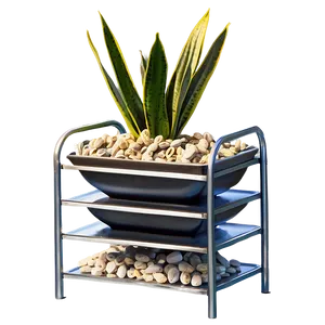Snake Plant On Shelf PNG Ajt31 PNG