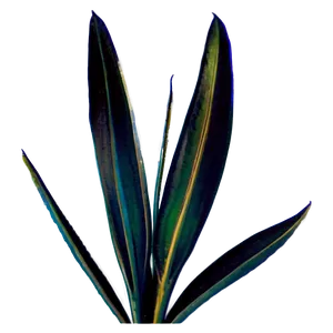 Snake Plant Silhouette PNG 06122024