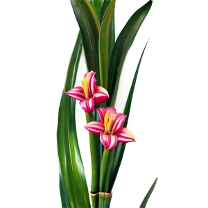 Snake Plant With Flowers Png 06122024 PNG image