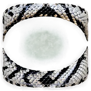 Snake Skin Appearance PNG 06272024 PNG