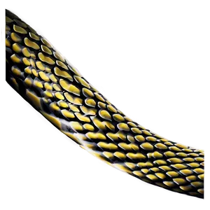 Snake Skin Appearance PNG 27