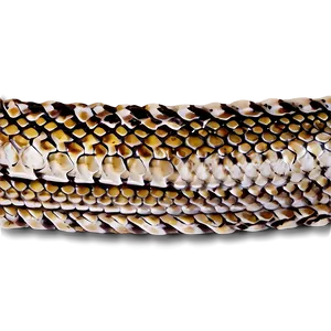 Snake Skin B PNG image