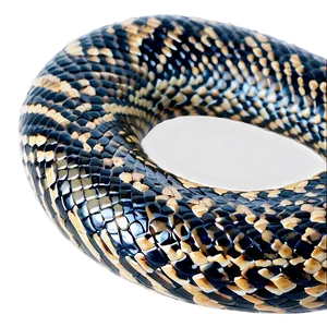 Snake Skin Close-up PNG 06272024 PNG