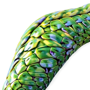 Snake Skin Close-up PNG Fnt93 PNG