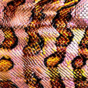 Snake Skin Color PNG 28