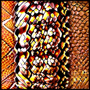 Snake Skin Design PNG Uyx18 PNG
