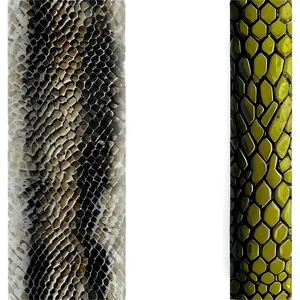 Snake Skin Graphic PNG Dul