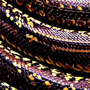 Snake Skin Icon PNG Jur