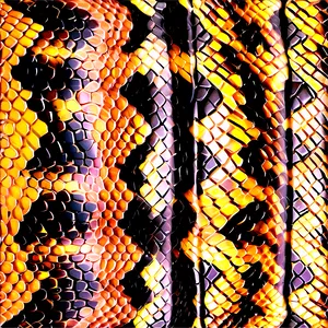 Snake Skin Material PNG 06272024