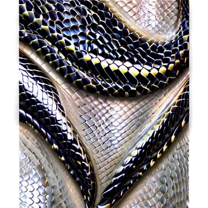 Snake Skin Material PNG 20 PNG
