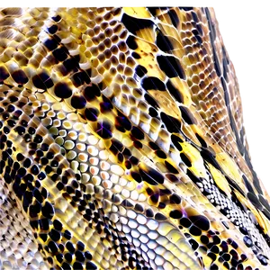 Snake Skin Material PNG Sgs61 PNG