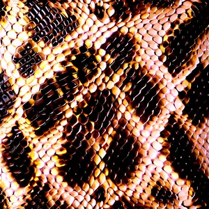 Snake Skin Print Png Yok PNG image