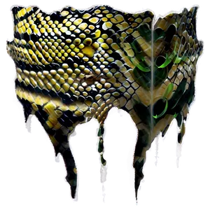 Snake Skin Style PNG 14