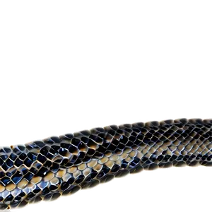 Snake Skin Style PNG 47